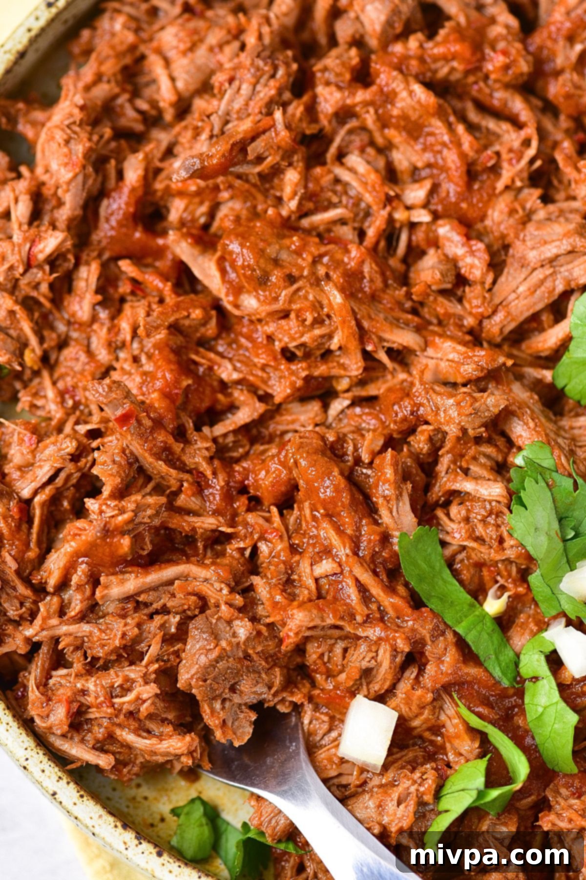 Up close shot of a bowl of shredded beef birria, glistening with rich sauce.
