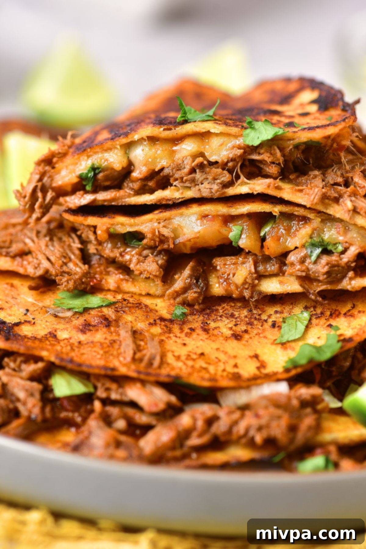 Up close shot of two half-eaten birria tacos with melted cheese and shredded beef.