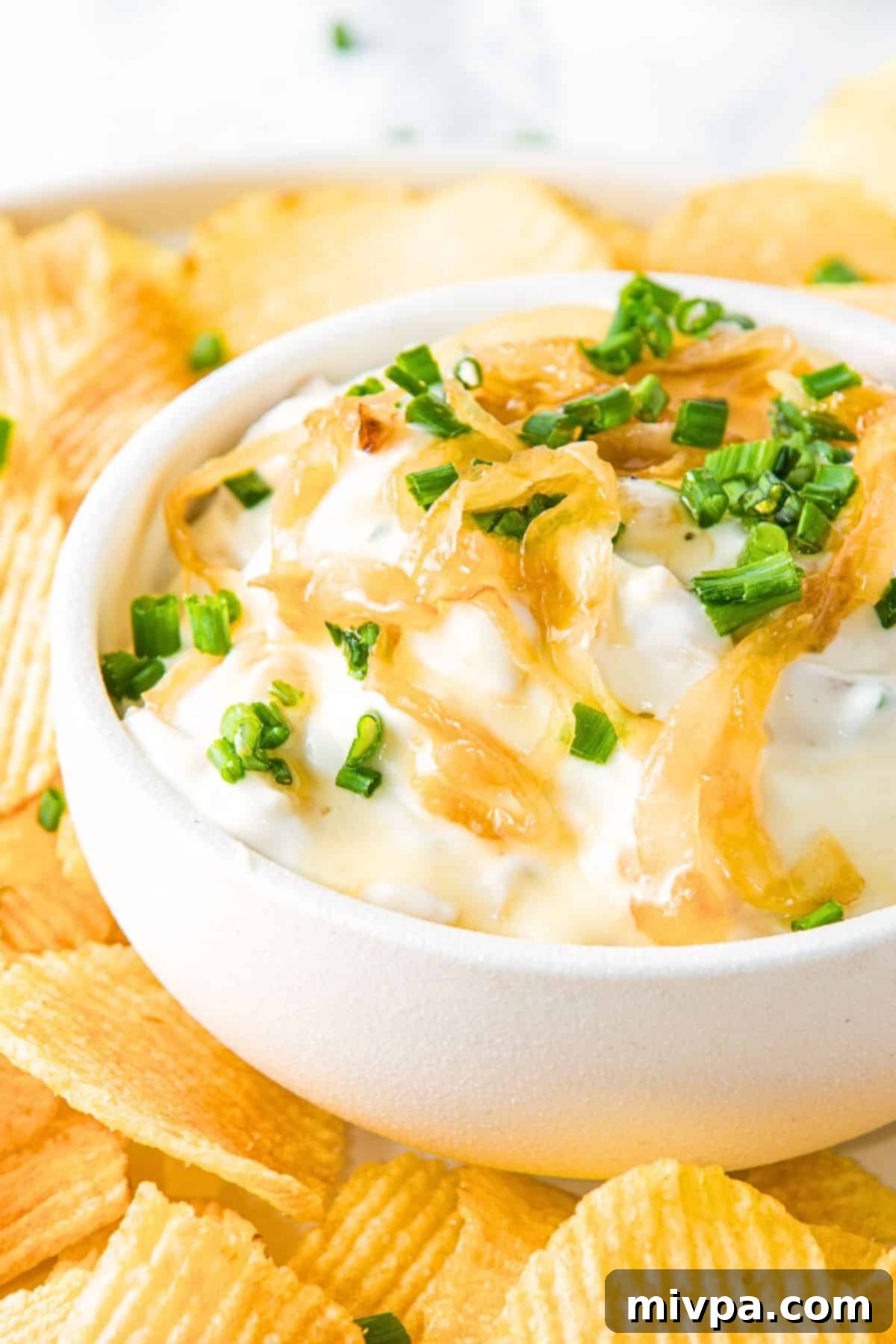 French Onion Dip (Gluten-Free) Up close view of a bowl of gf french onion dip.