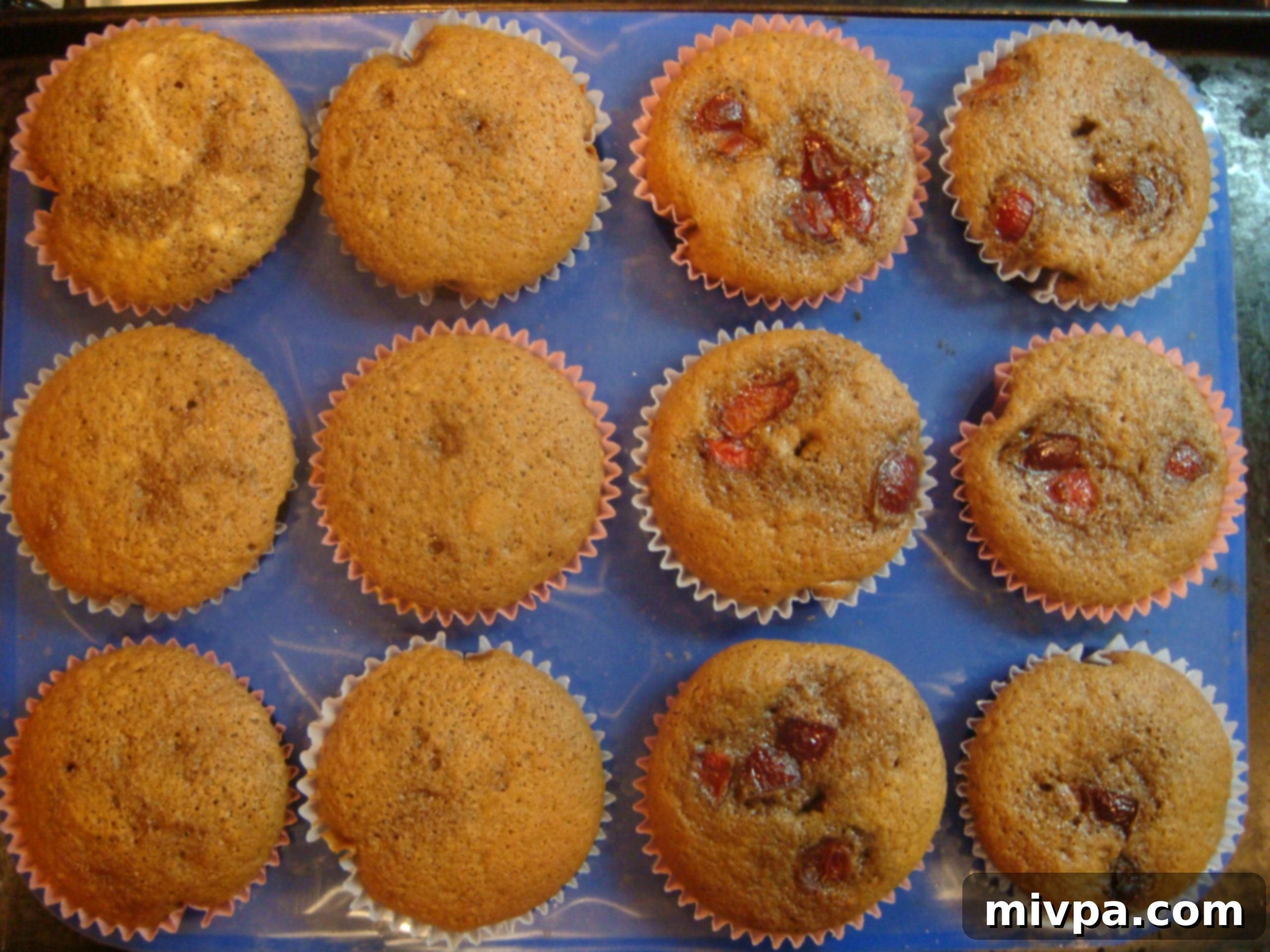 Freshly baked Cherry Chocolate Muffins, perfectly golden and risen, cooling in the muffin mould directly out of the oven.