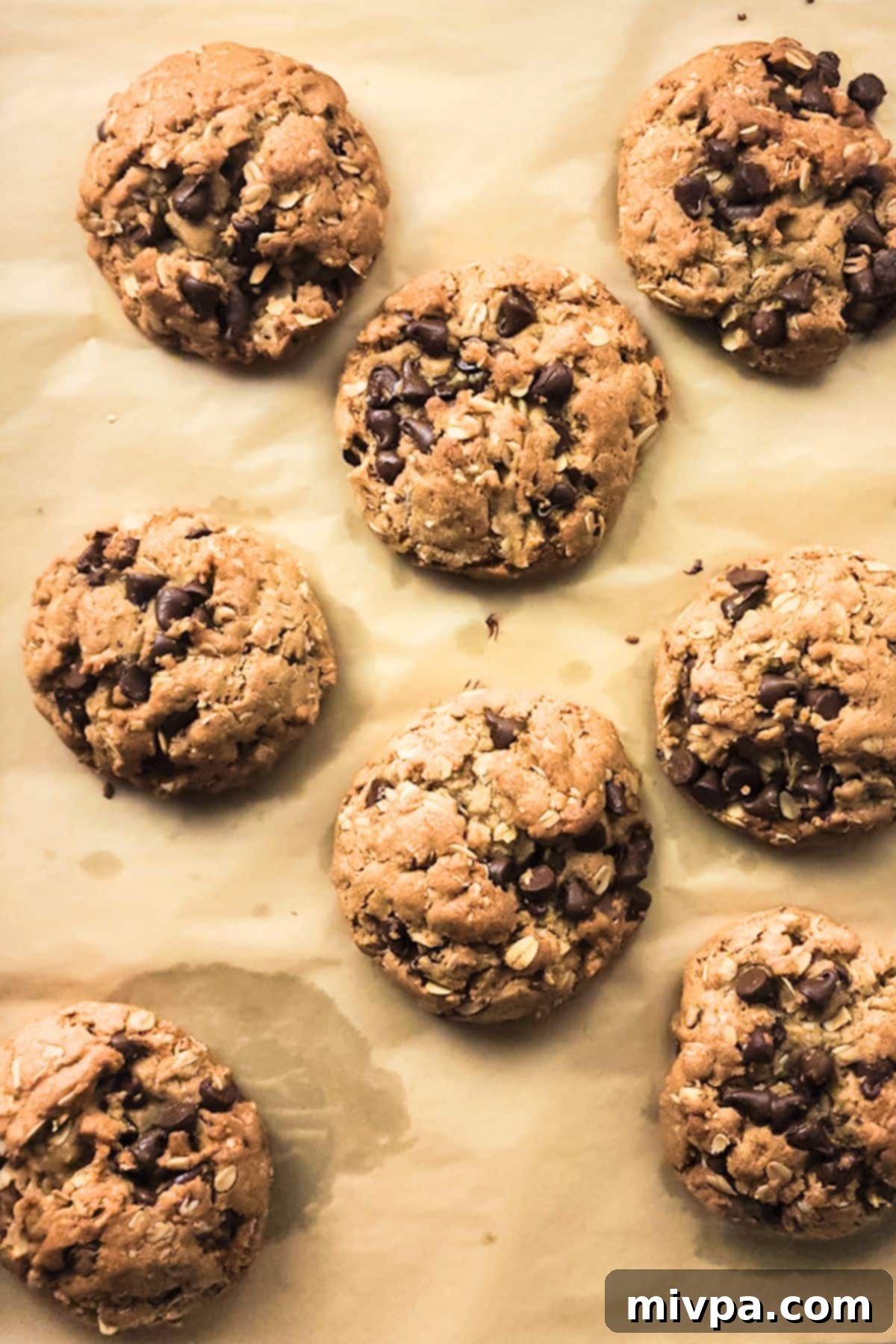 Golden Gluten-Free Oatmeal Chocolate Chip Cookies Fresh from Oven Freshly baked gluten-free oatmeal chocolate chip cookies on parchment paper, displaying their golden-brown edges.