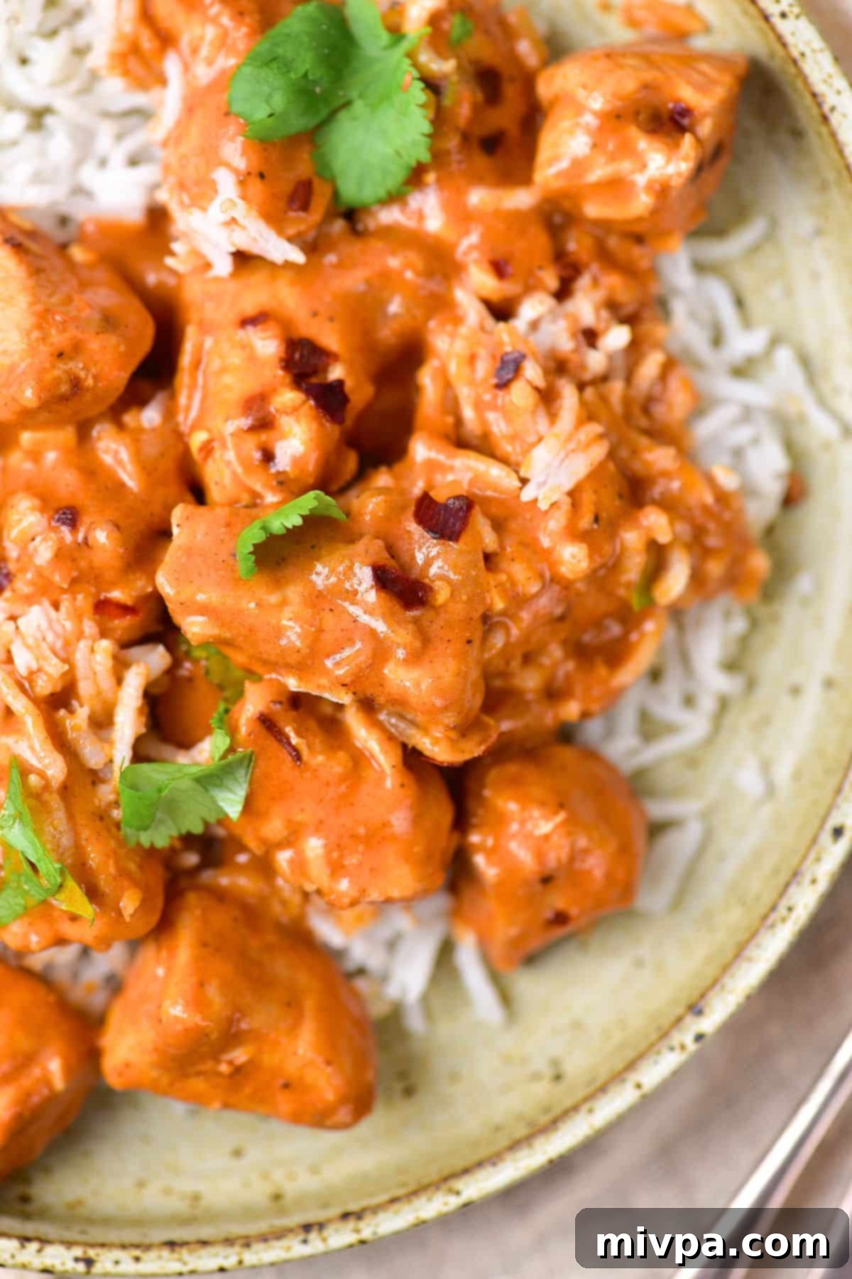 Top down view of chicken curry on a bed of rice.