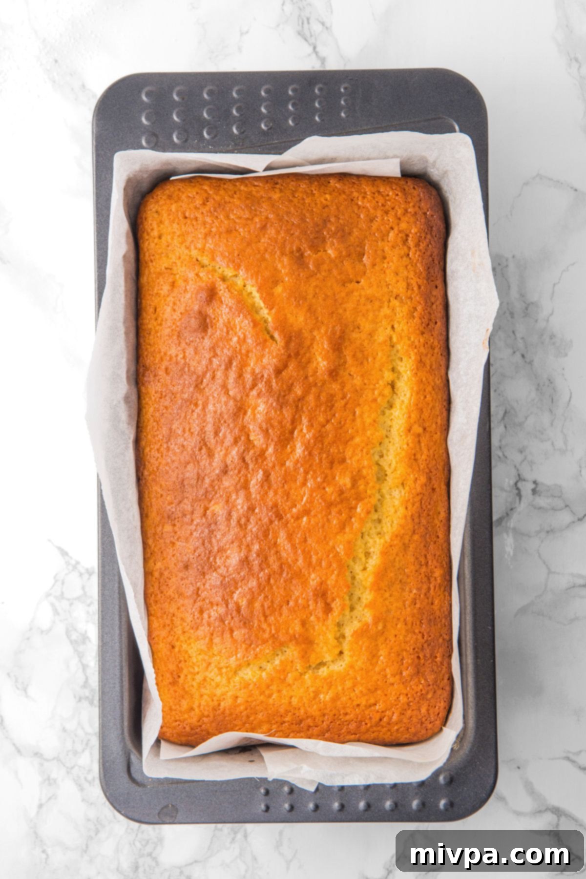 Gluten-Free Lemon Loaf Fresh from Oven Freshly baked lemon cake, golden brown and still in the loaf pan, cooling down.