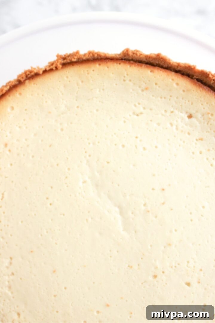 A freshly baked Greek yogurt cheesecake, golden brown at the edges and perfectly set in its graham cracker crust.