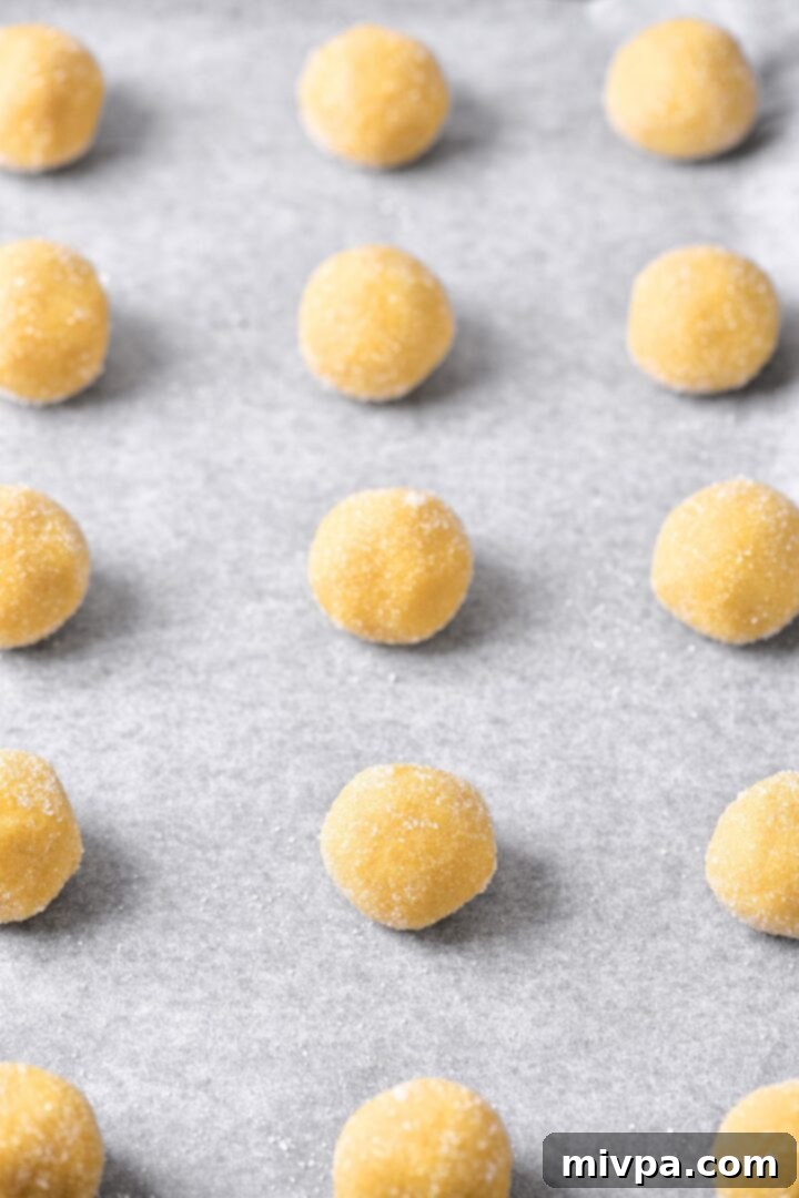 Gluten-Free Jam Cookies Small balls of cookie dough arranged on parchment paper before baking.