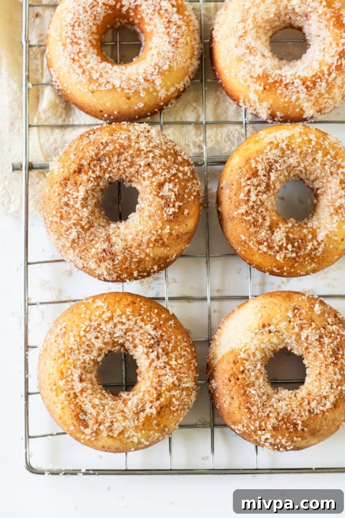 Sugar-coated donuts on wire rack