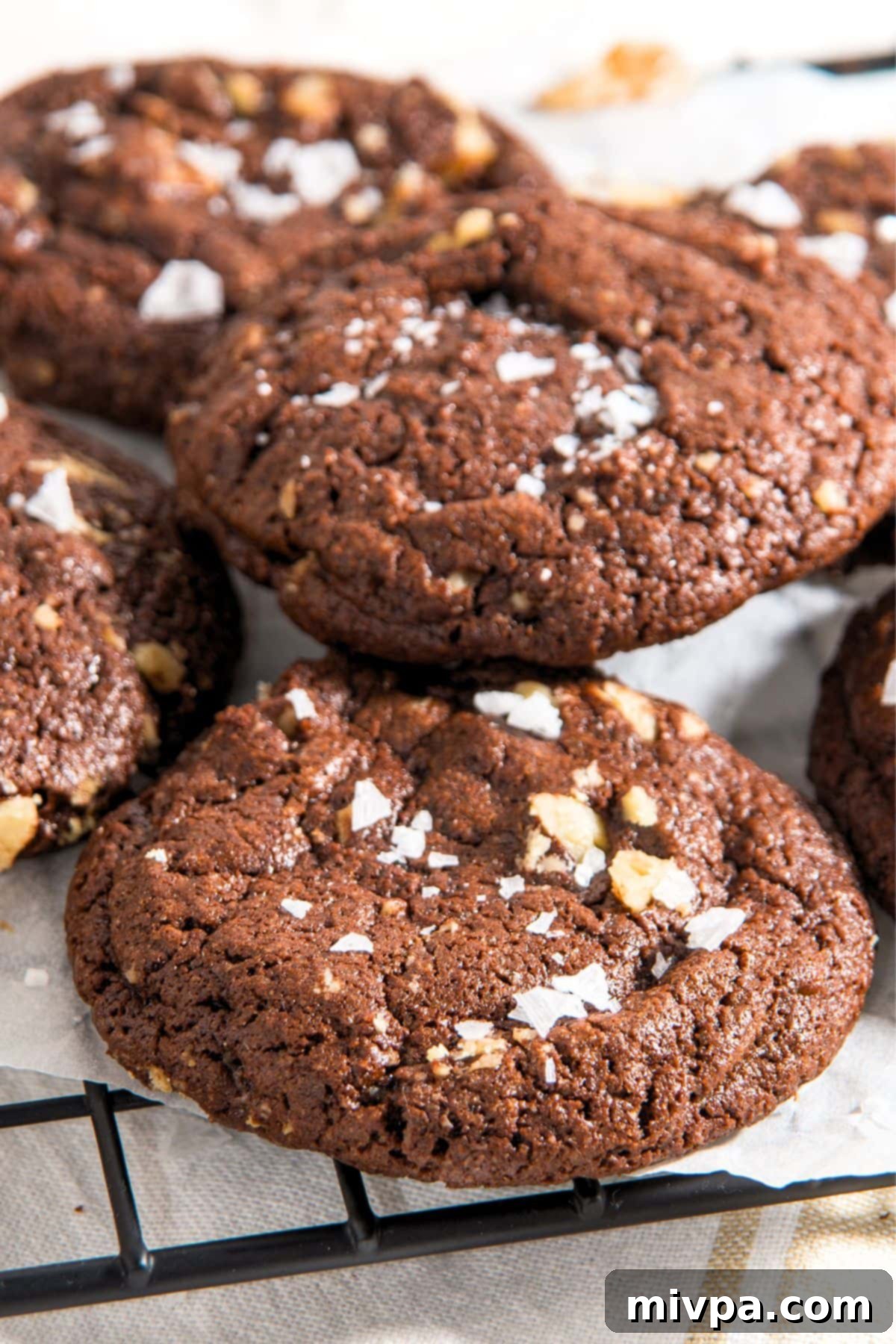 Gluten-Free Fudgy Chocolate Cookies with Walnuts Close-up view of a gluten-free chocolate cookie featuring prominent walnuts, showing its fudgy texture.