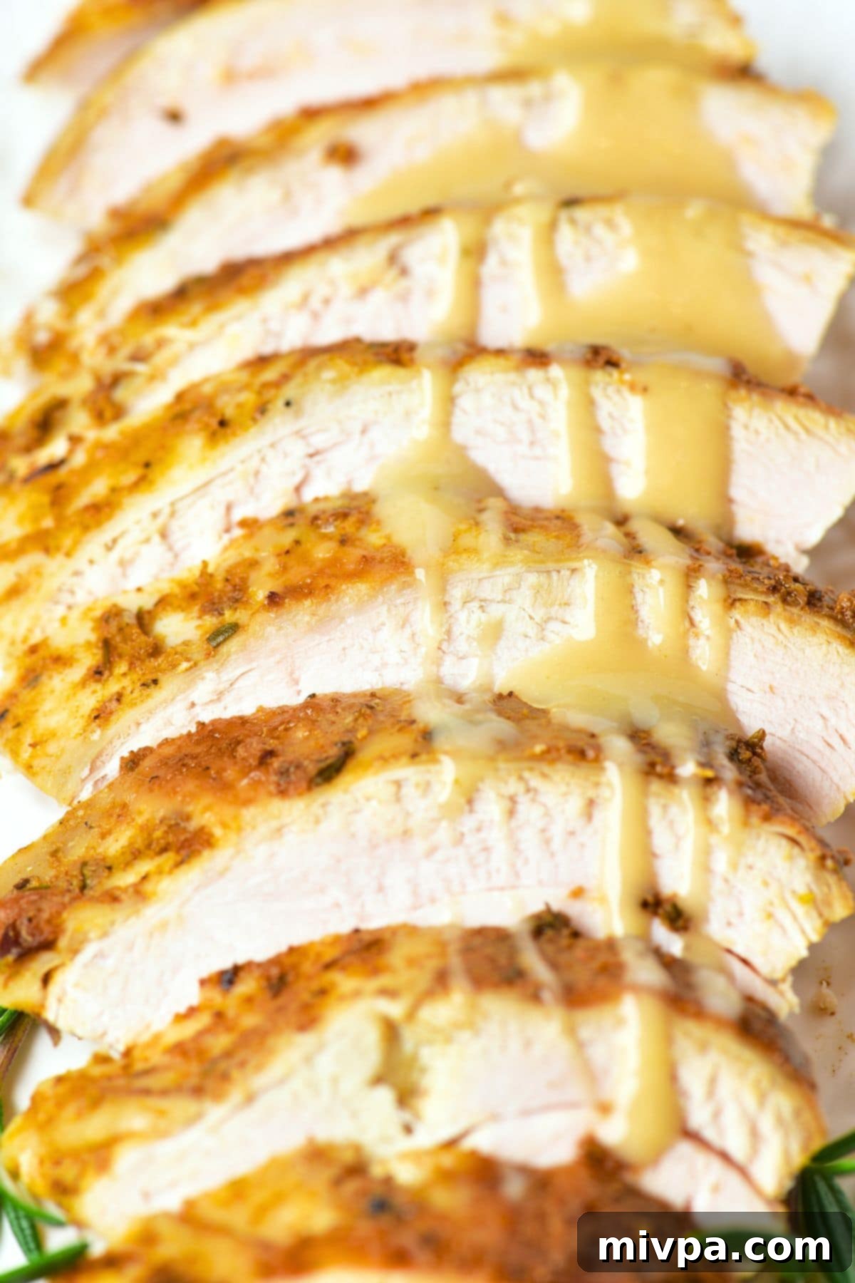 Up close view of gravy-drizzled sliced turkey breast