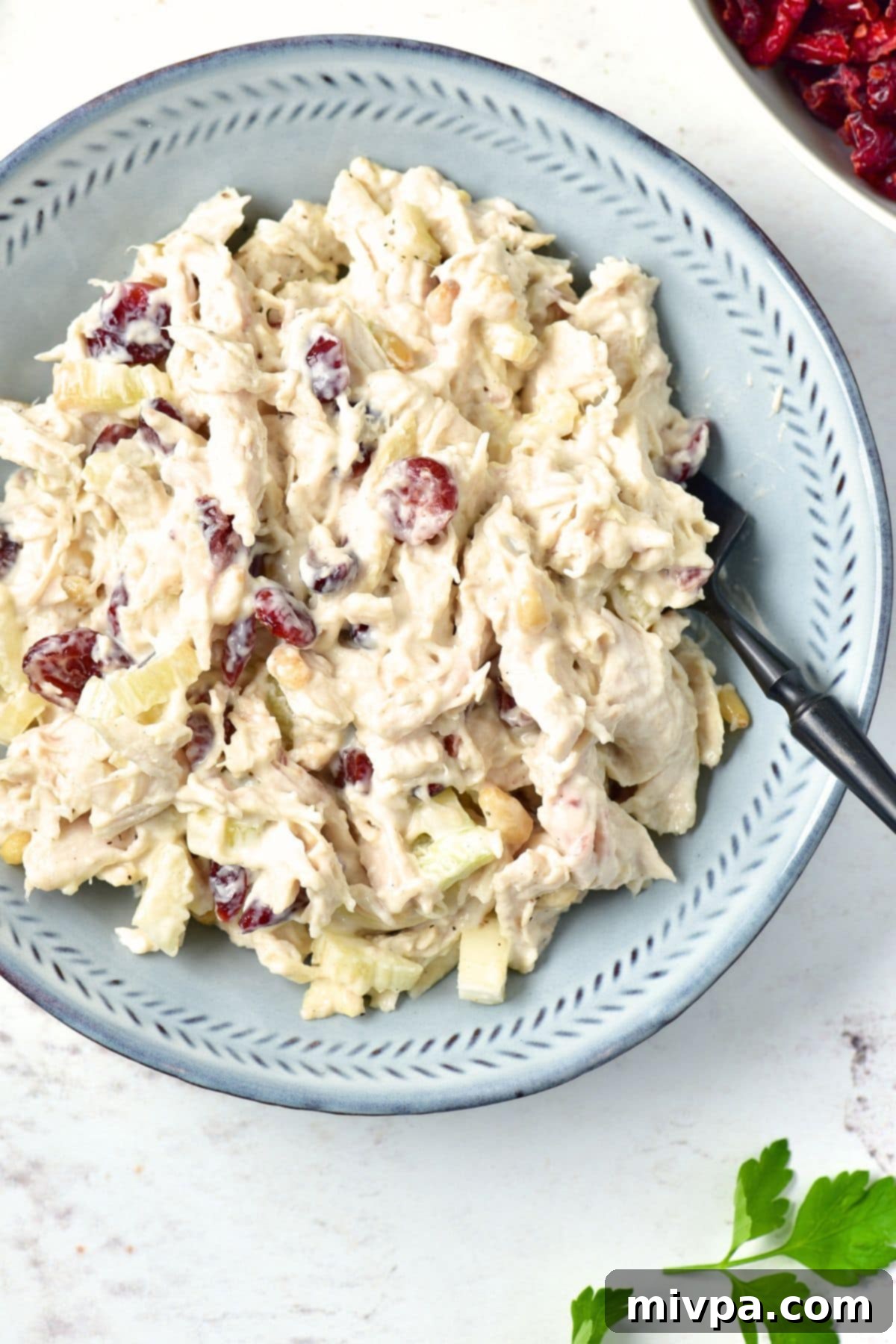Chicken Cranberry Salad (Gluten-Free, Dairy-Free) Top down view of cranberry chicken salad in blue bowl, ready to be served.