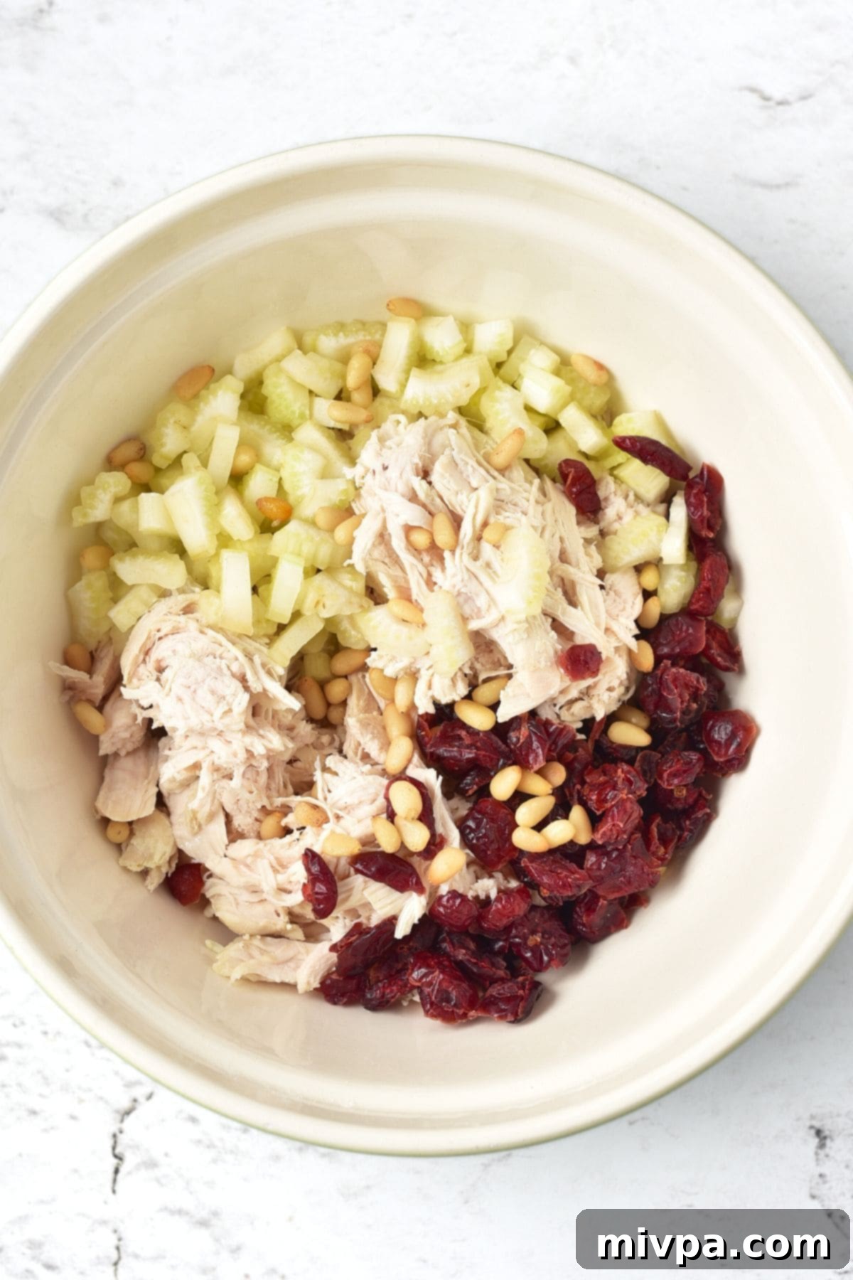 Gluten-Free Chicken Salad Recipe Up close view of a bowl with dried cranberries, shredded chicken, pine nuts and diced celery, ready to be mixed.