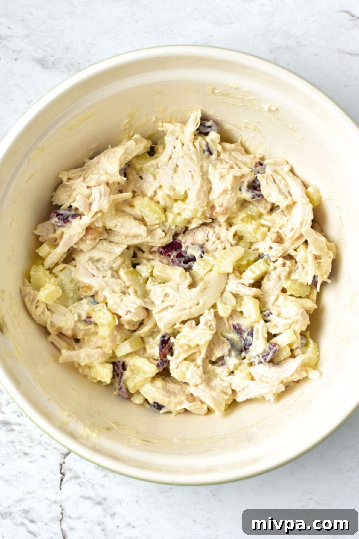 Dried Cranberry Chicken Salad (Gluten-Free, Dairy-Free) A bowl with fully mixed dried cranberry chicken salad.