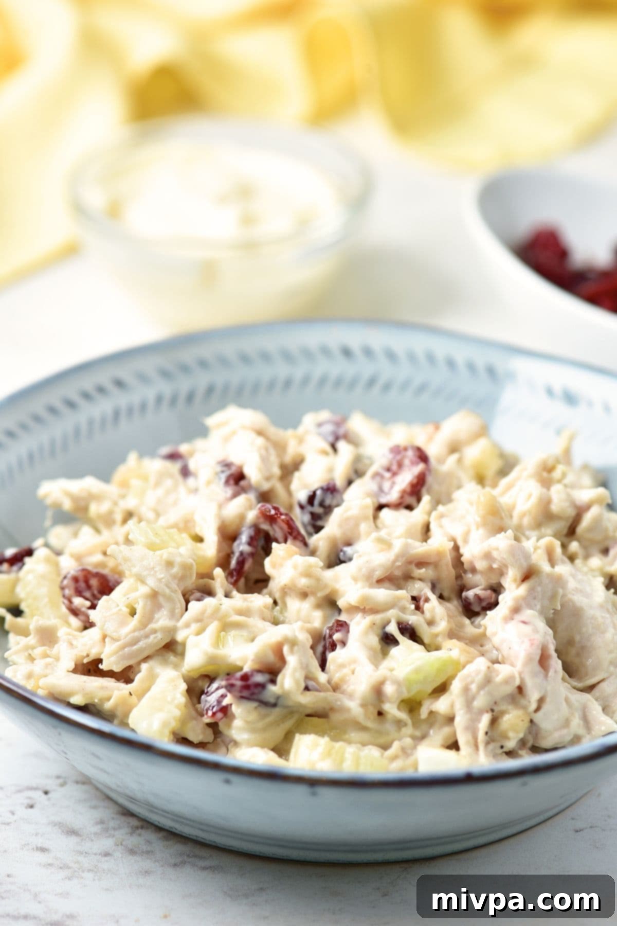 Chicken Dried Cranberry Salad Up close view of a bowl of cranberry dried chicken salad, garnished with fresh dill.