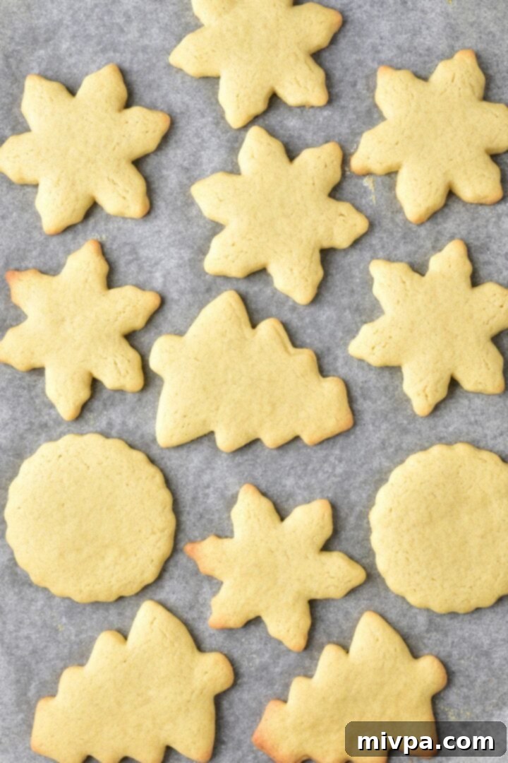 Freshly baked gluten-free Christmas sugar cookies, lightly golden and perfectly shaped, cooling on parchment paper directly on the baking sheet after being removed from the oven.