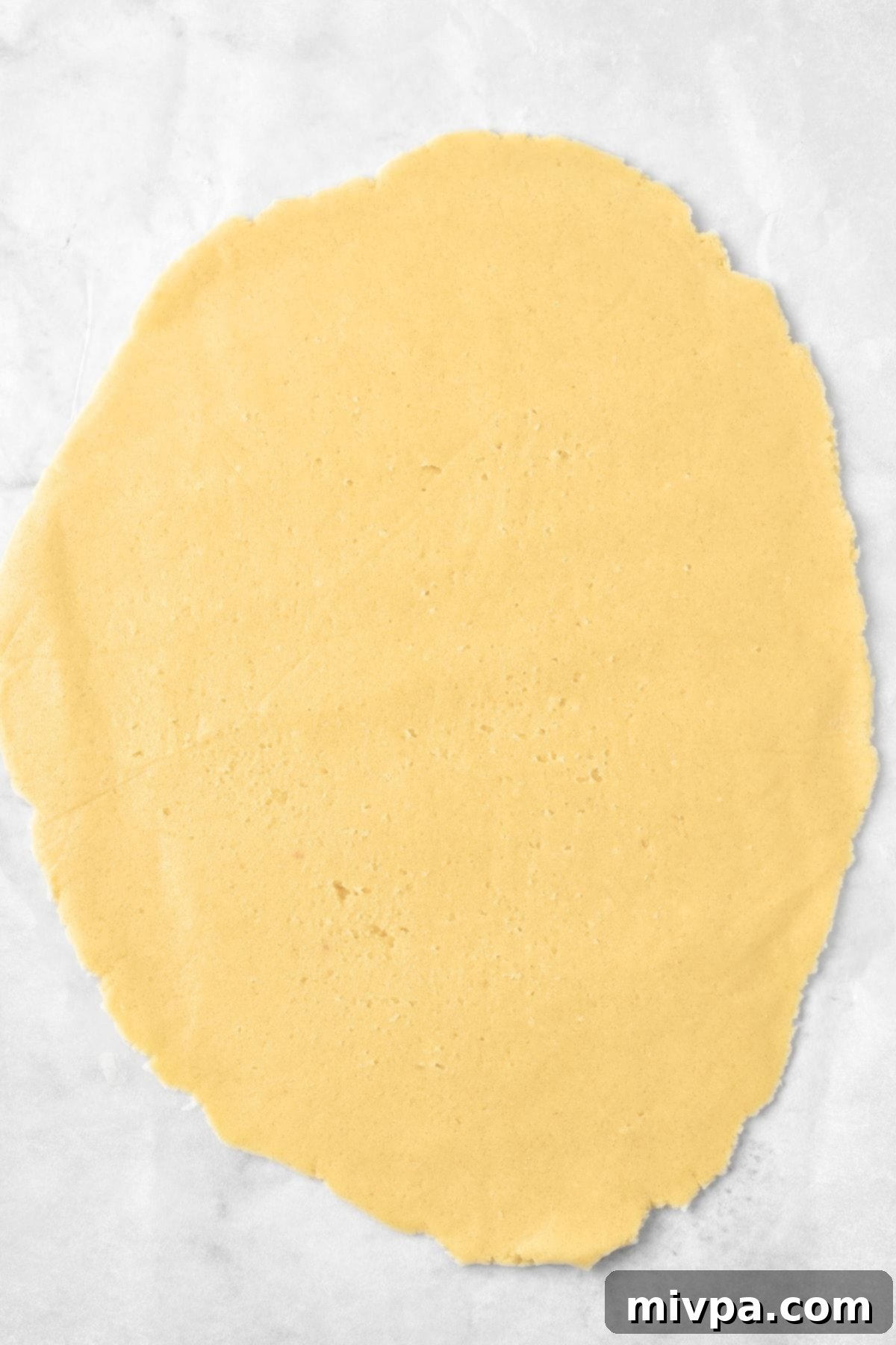 Rolled out cookie dough between two sheets of parchment paper.
