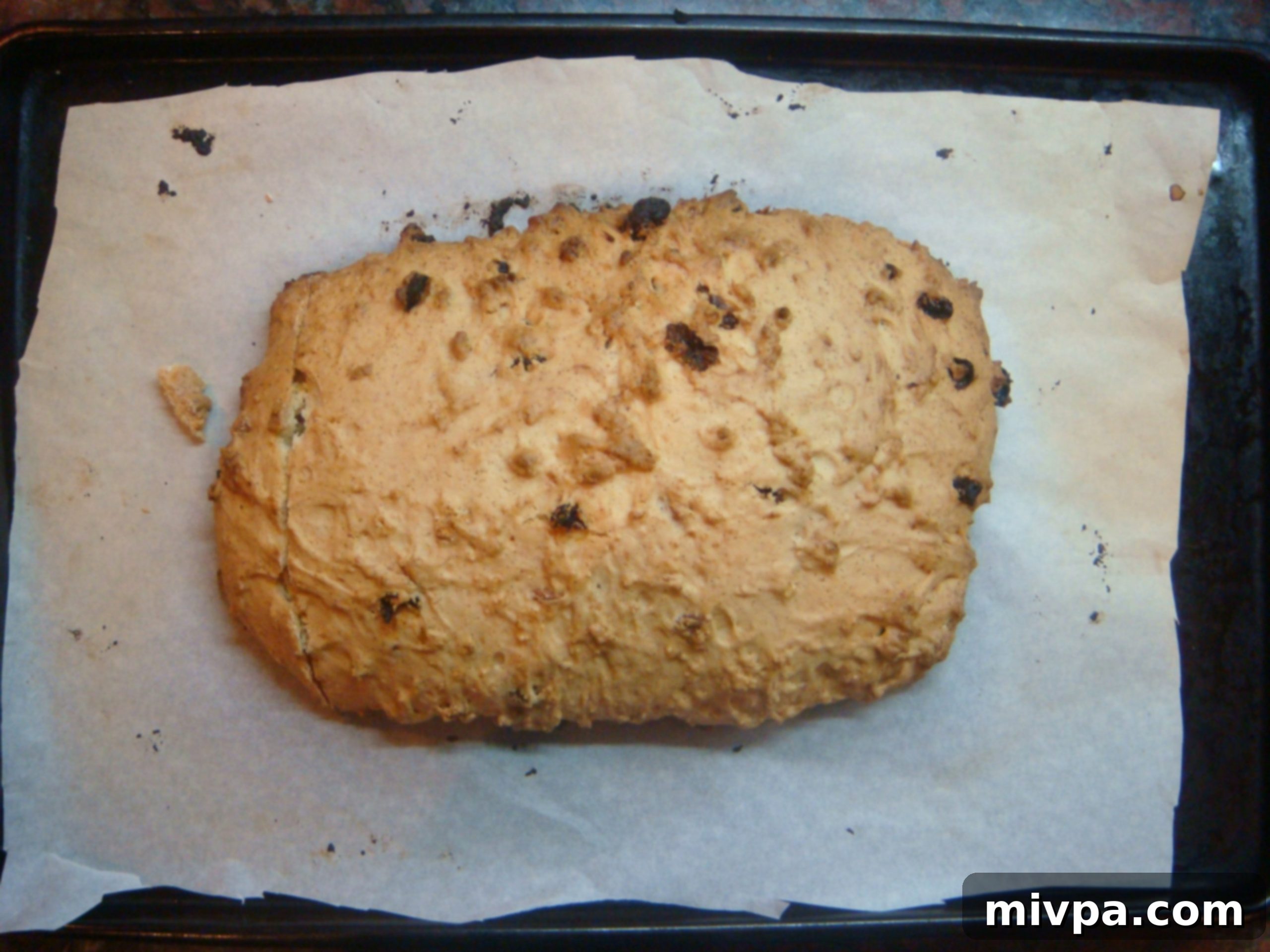 Zesty Lemon Almond Raisin Biscotti 14 The biscotti log after its first bake, appearing golden and firm on the baking sheet, indicating it's ready for slicing.
