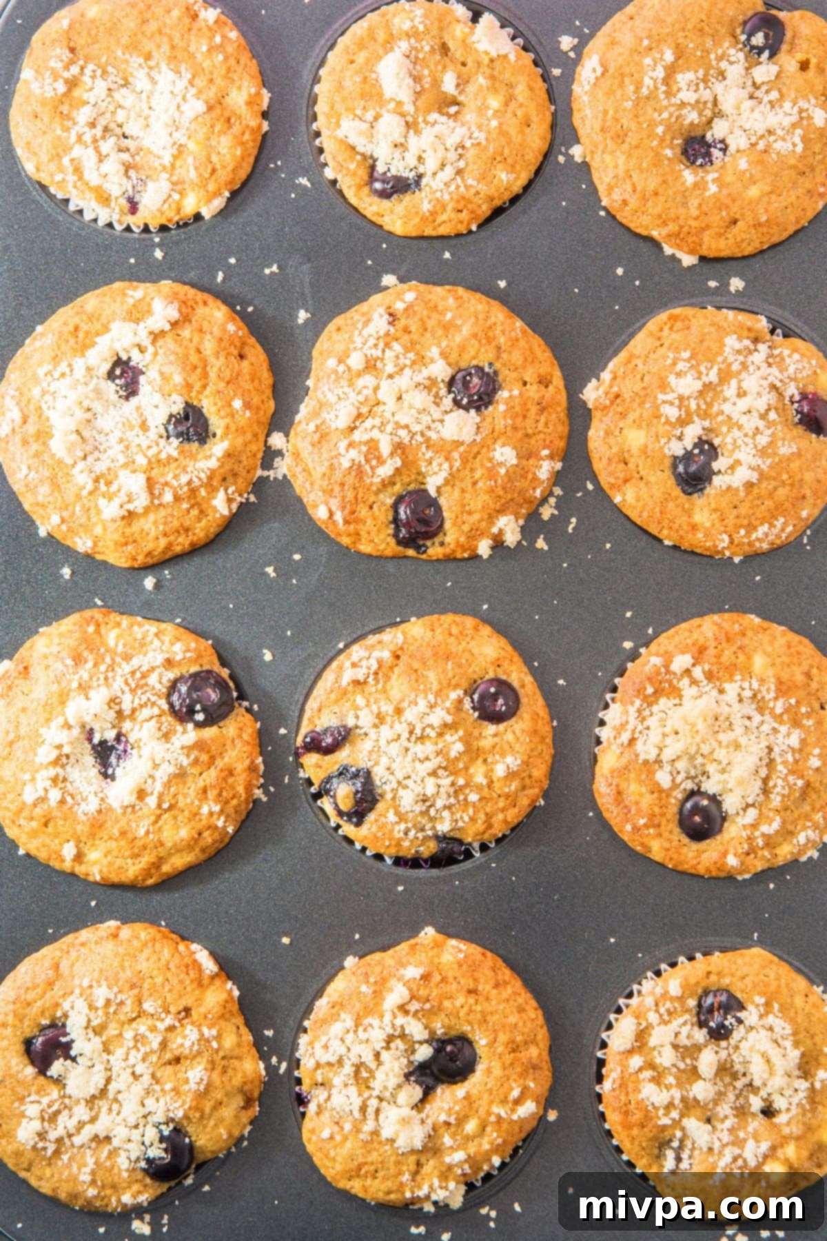 Blueberry and Cottage Cheese Muffins A tray of freshly baked, golden-brown blueberry and cottage cheese muffins, just out of the oven.