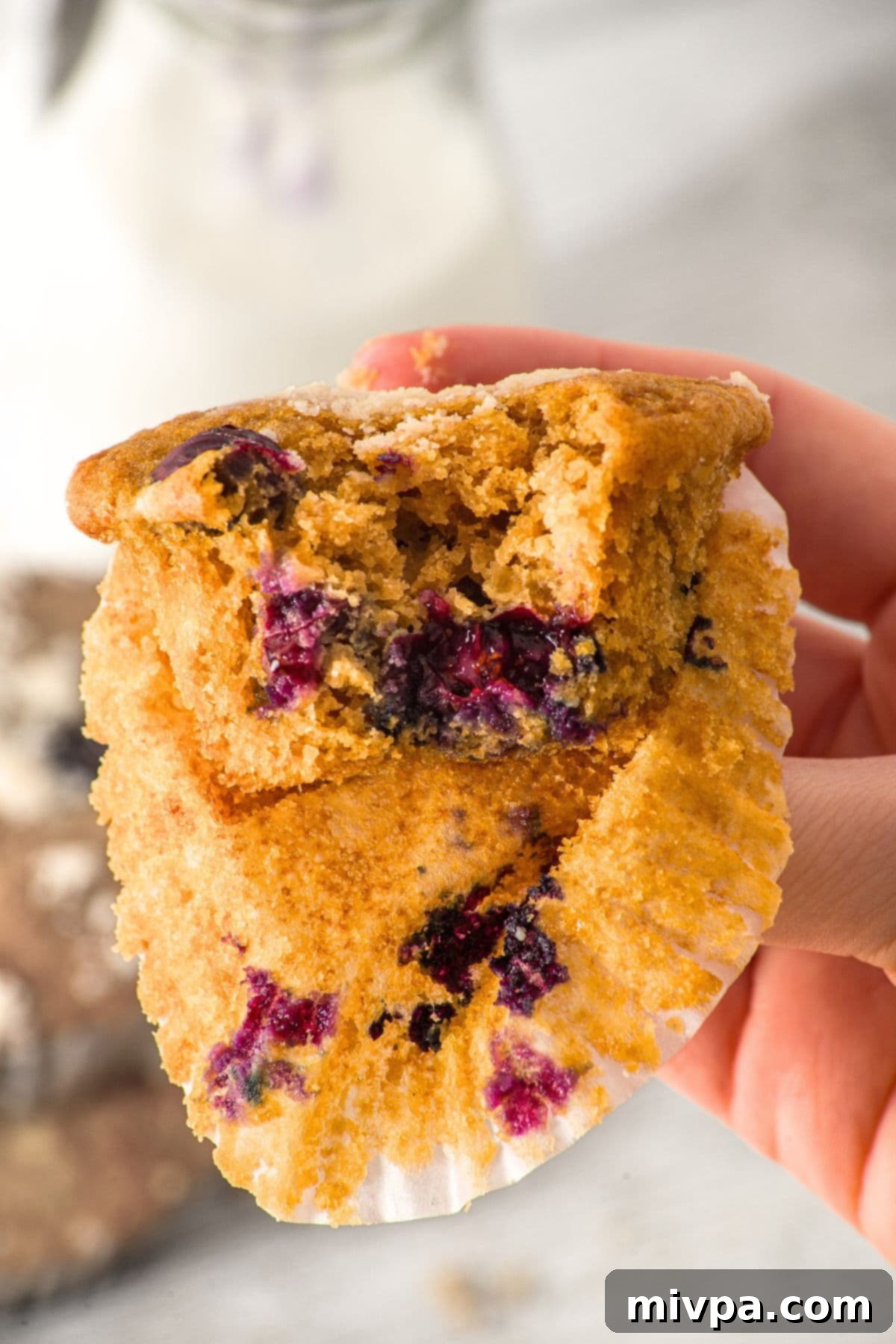 Cottage Cheese and Blueberry Muffins Close-up of a half-eaten cottage cheese and blueberry muffin, showing its moist interior and golden crumb topping