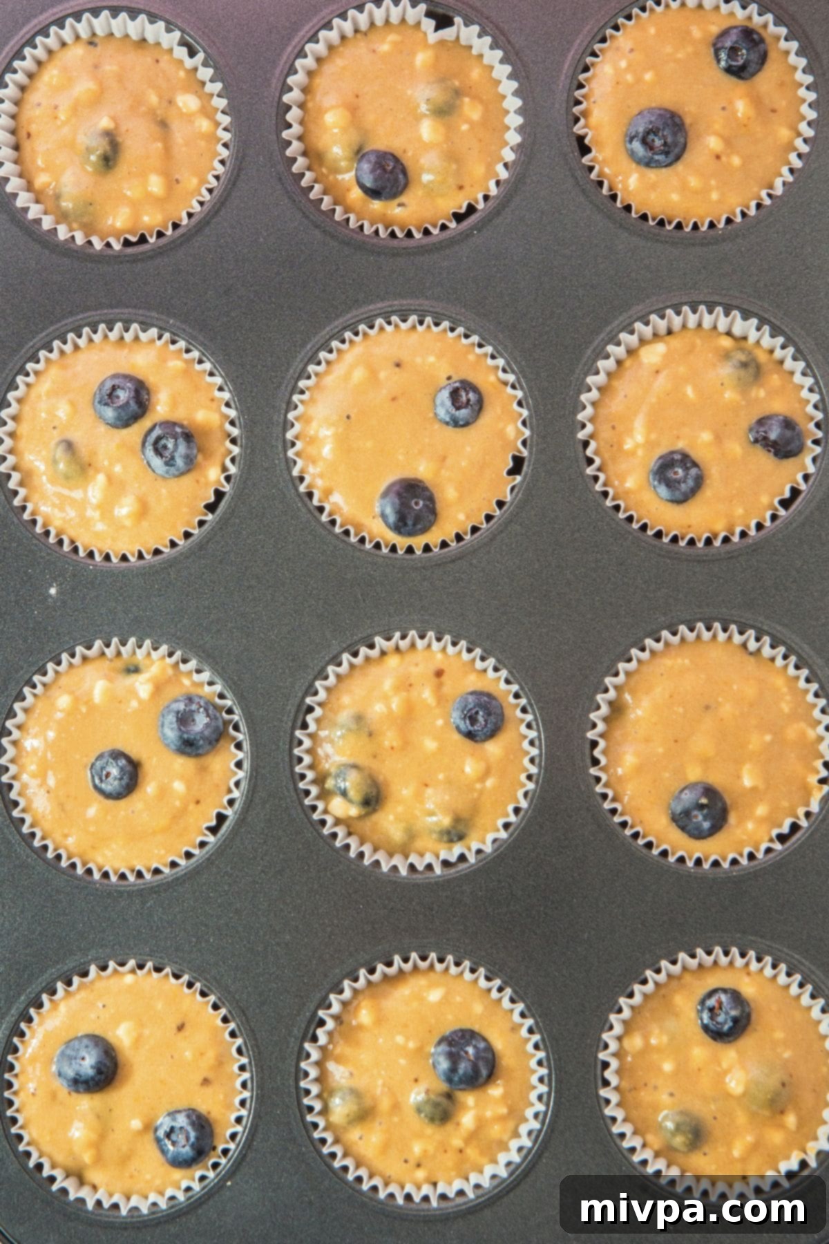 Cottage Cheese Blueberry Muffins (Gluten-Free) Muffin batter filled into paper-lined cups of a muffin pan, ready for baking.