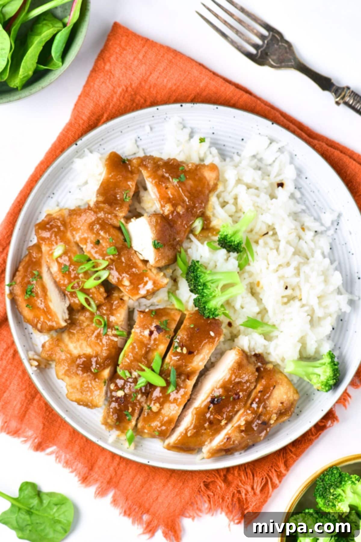 Honey Garlic Chicken (Gluten-Free, Dairy-Free) Top down view of a plate of sliced chicken and rice, a complete and satisfying meal.