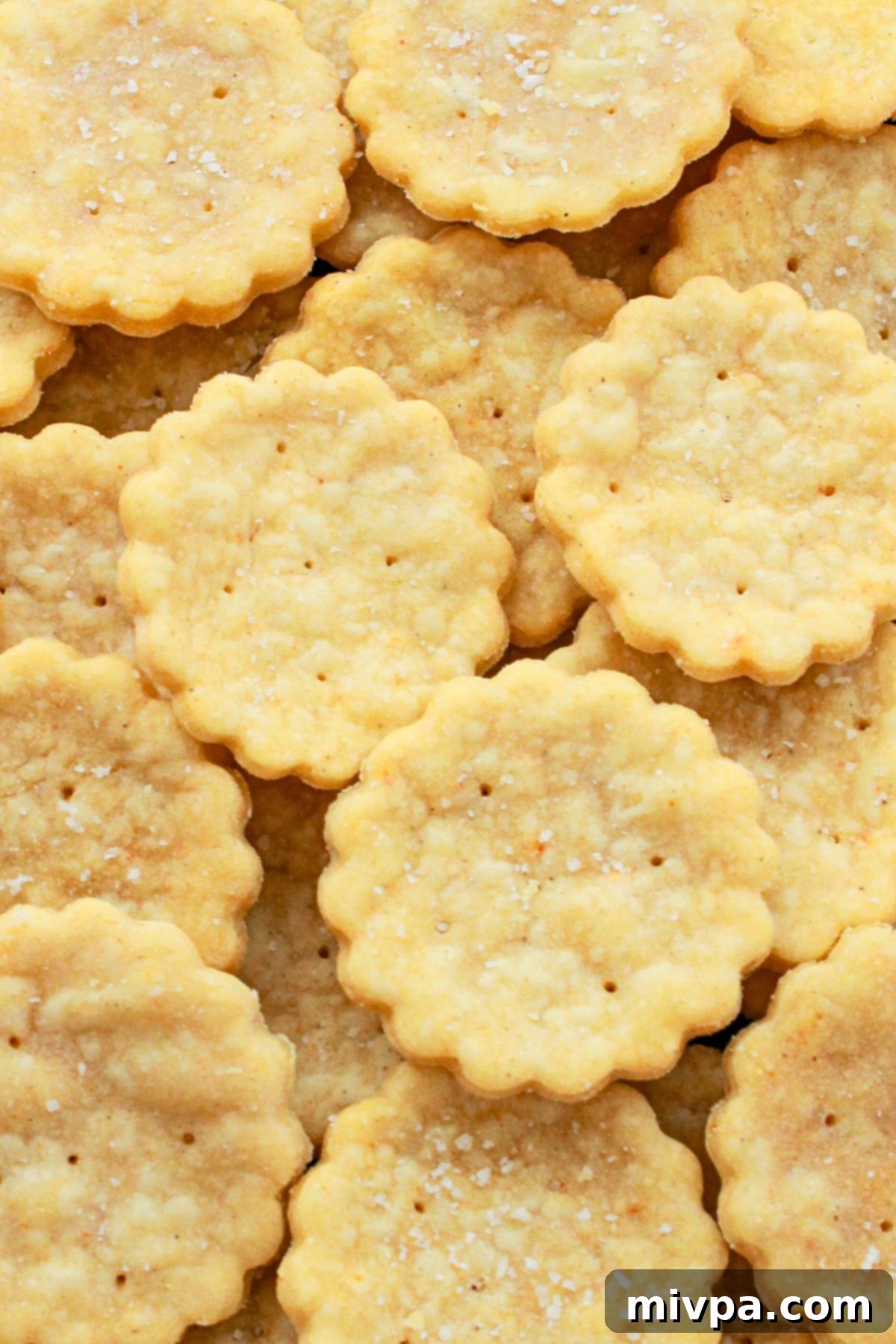 Gluten-Free Ritz Crackers (Dairy-Free Option) Top down view of gluten-free homemade ritz crackers
