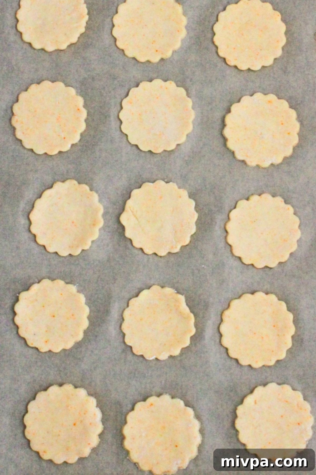 How to Make Gluten-Free Ritz Crackers Round pieces of raw cracker dough on parchment paper