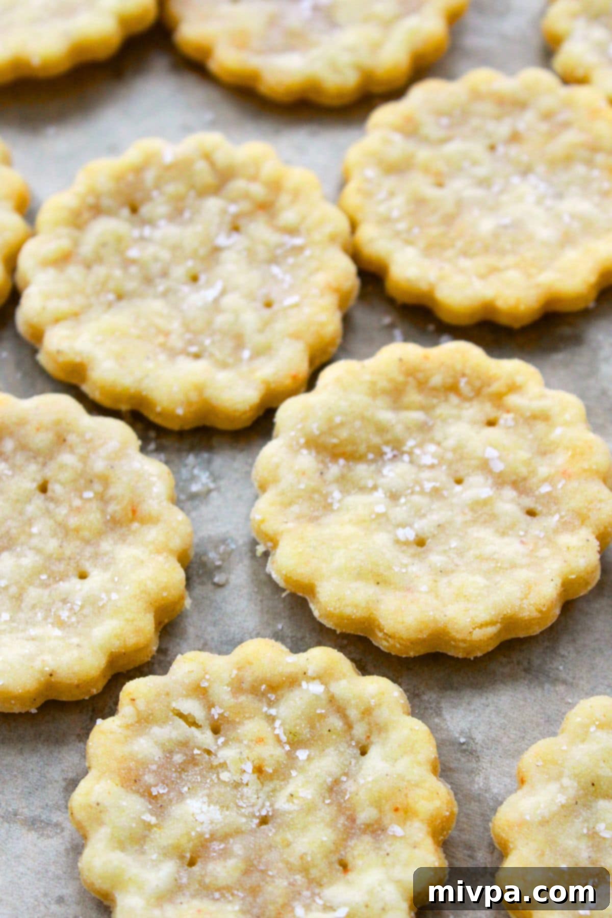 Ritz Type Crackers Recipe Freshly baked ritz type crackers on parchment paper.