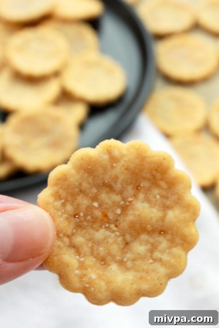 Simple Gluten-Free Ritz Style Crackers Dairy-Free Friendly 3 Holding up gluten-free ritz style cracker