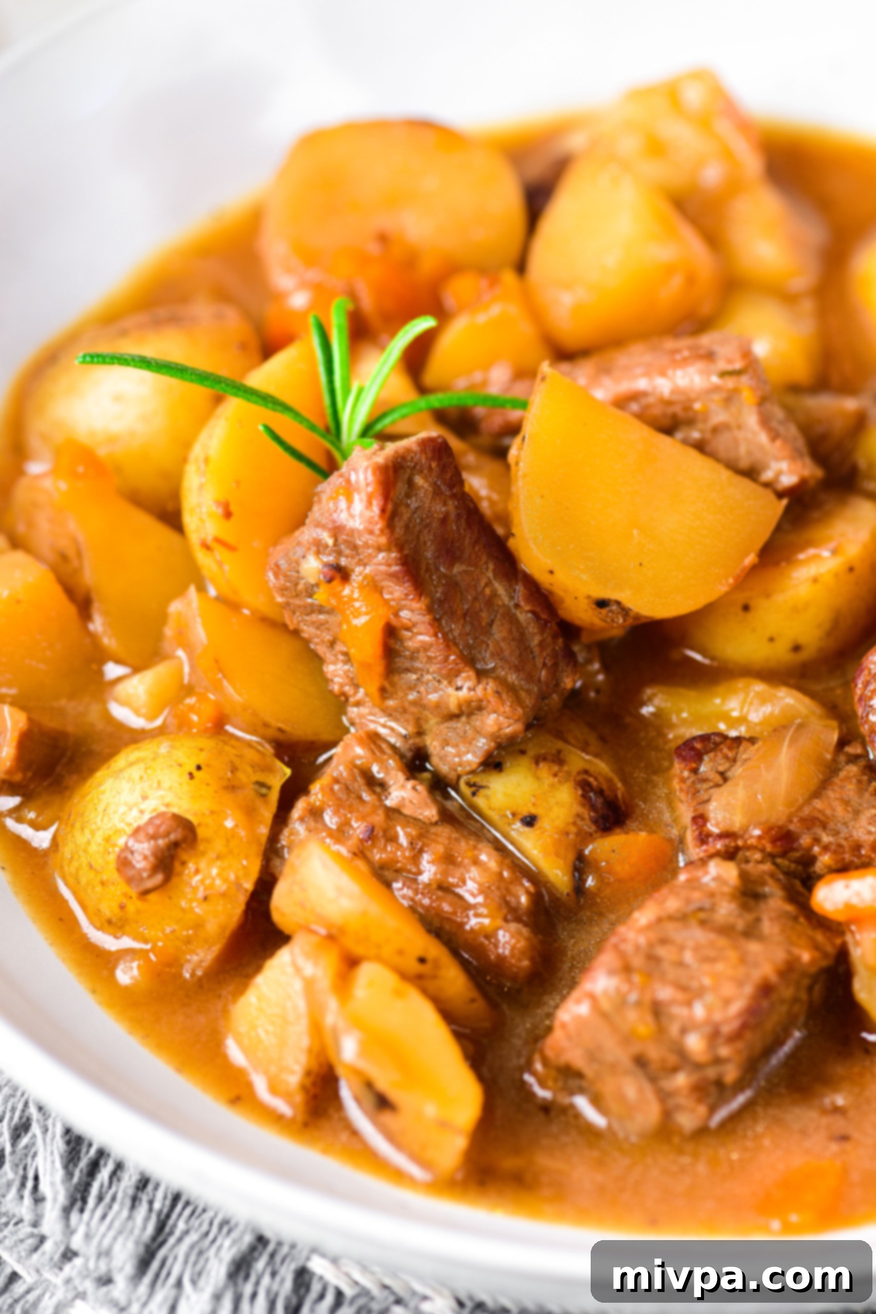 Easy Beef Stew (Gluten-Free, Dairy-Free) Easy gluten-free beef stew in a bowl.