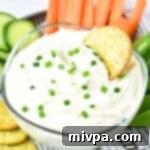 Creamy Gluten Free Cottage Cheese Ranch Dip 2 A cracker in a bowl of cottage cheese ranch dip