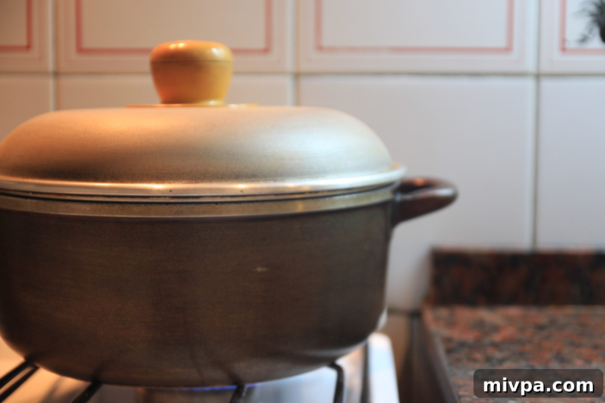 Stew simmering on low heat
