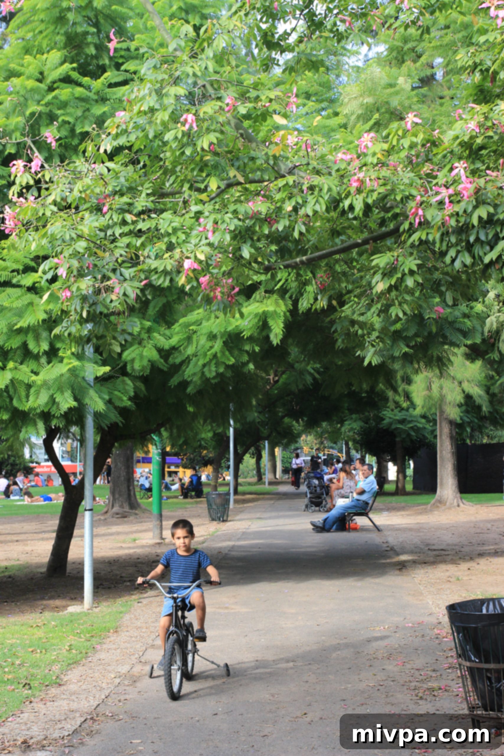 Candid shot of a person enjoying the park surroundings