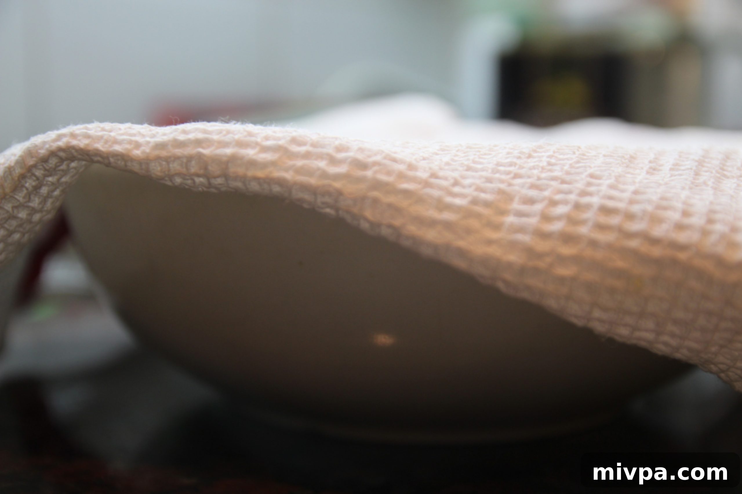 Ciabatta dough covered with a tea towel in an oiled bowl for its first rise