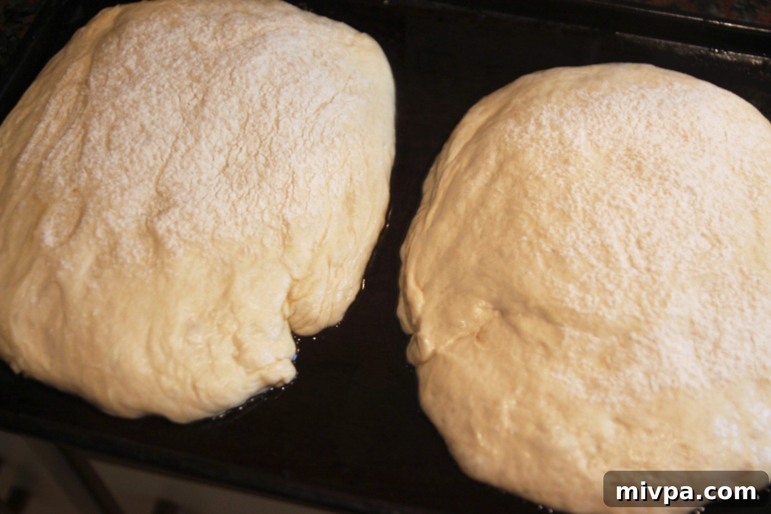 Two shaped ciabatta loaves on a floured surface, lightly dusted with flour, ready for final proof