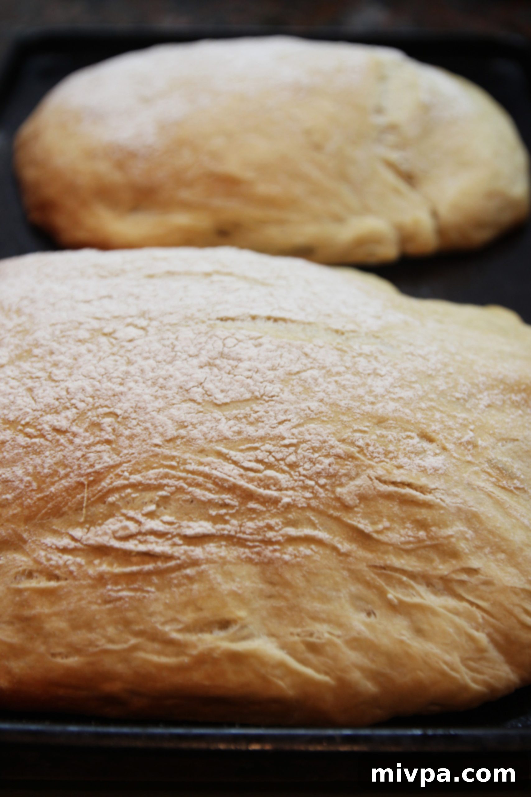 Close-up of a beautifully golden and crusty homemade ciabatta loaf