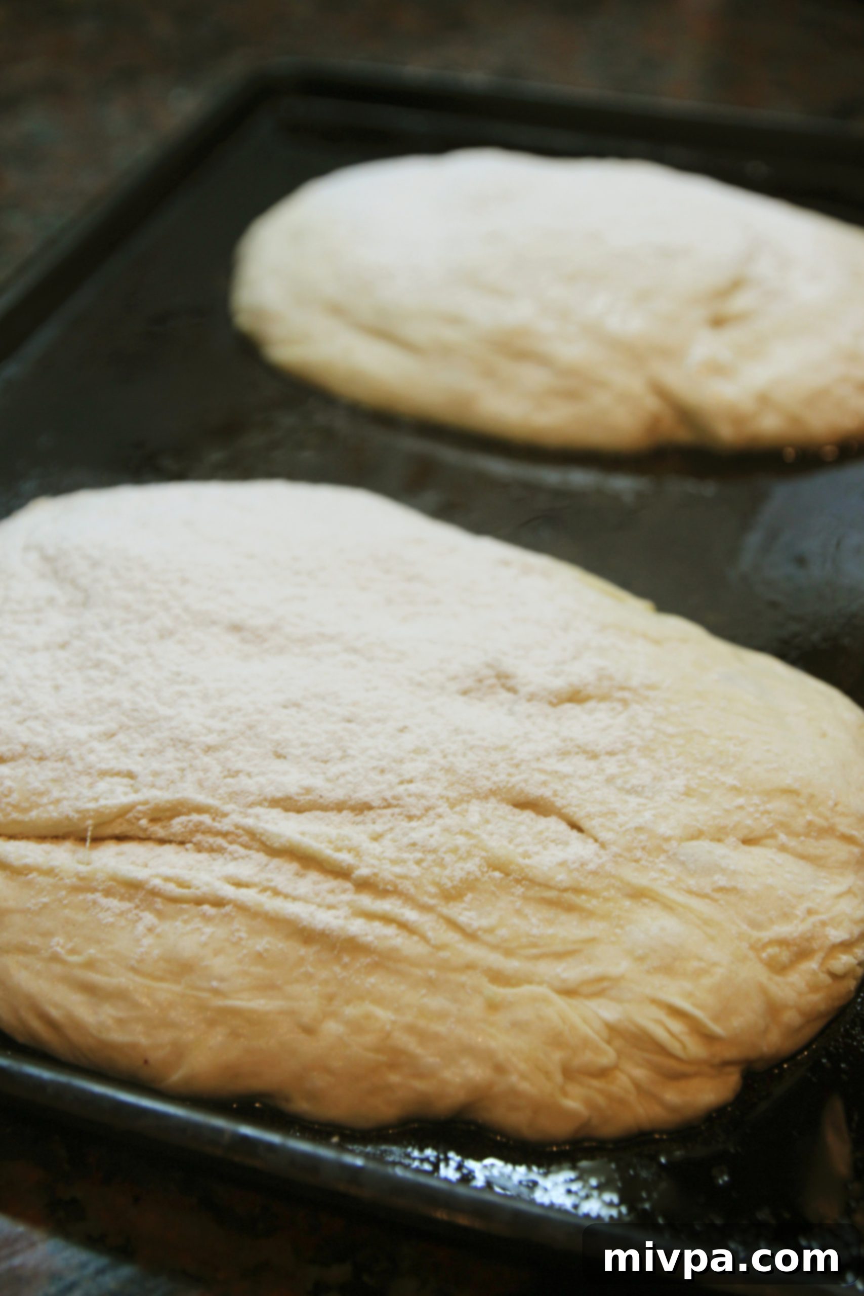 Close-up of the open, airy crumb structure of a freshly baked ciabatta slice