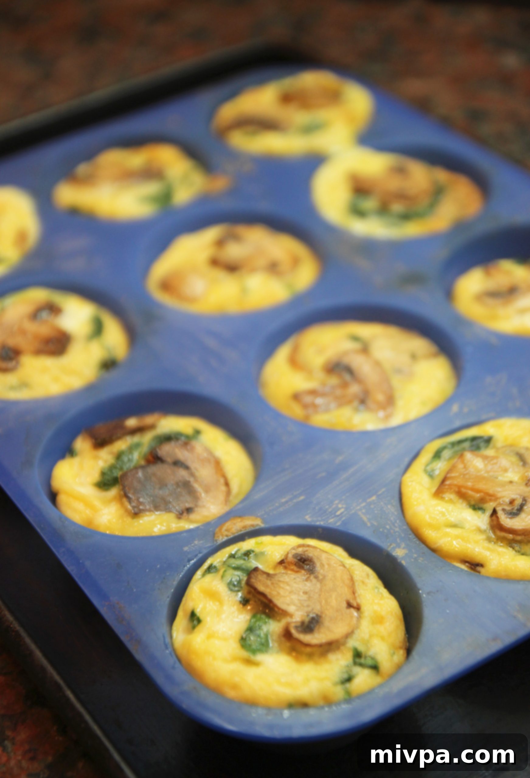 Golden Mushroom Spinach Quiche Cups fresh from the oven