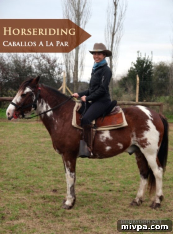 Horseriding at Caballos A La Par