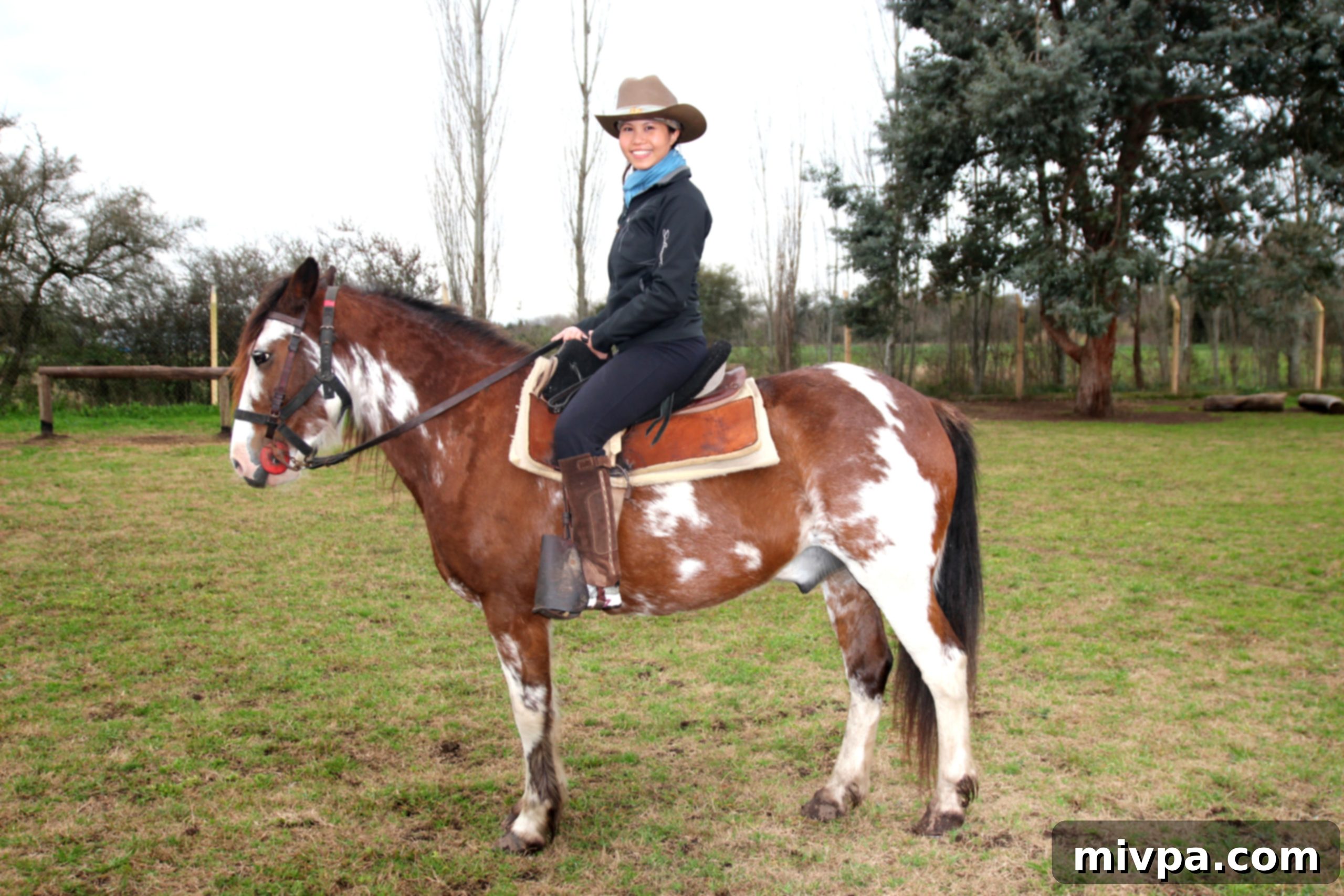 Caballos a la par14