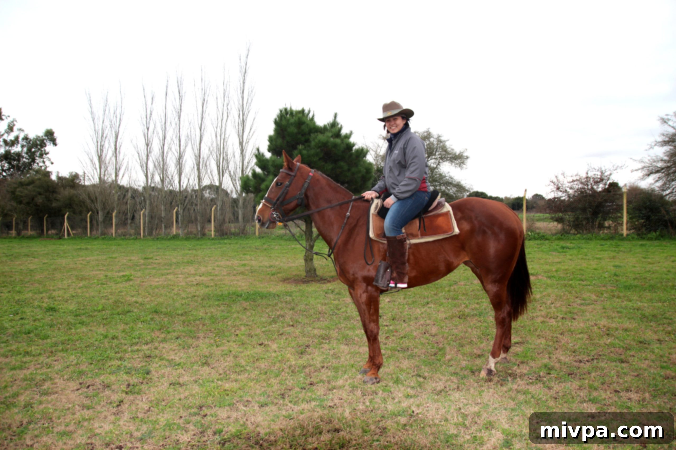 Caballos a la par13