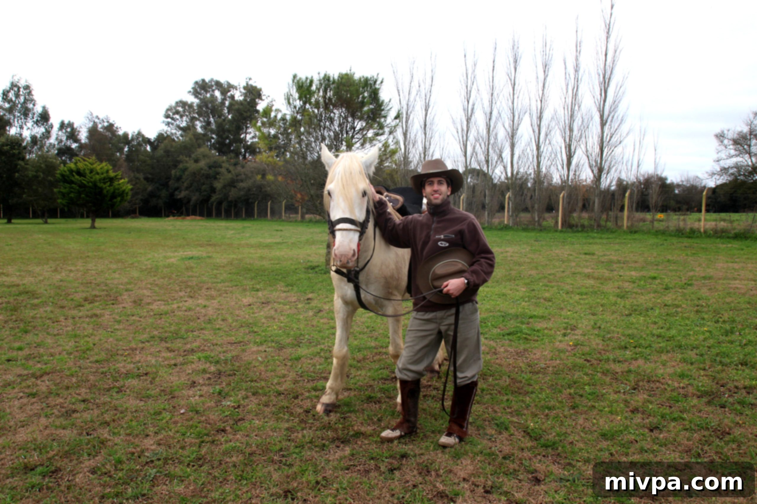 Caballos a la par16