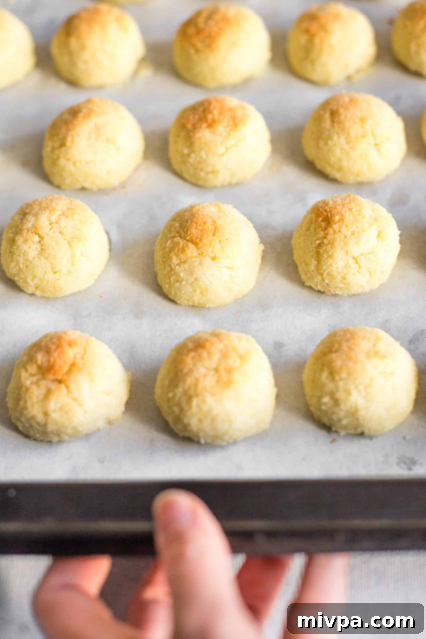 Easy Gluten-Free Coconut Macaroon Recipe (Dairy-Free) - Freshly Baked A hand holding a baking sheet laden with freshly baked, golden-brown gluten-free coconut macaroons, just out of the oven.