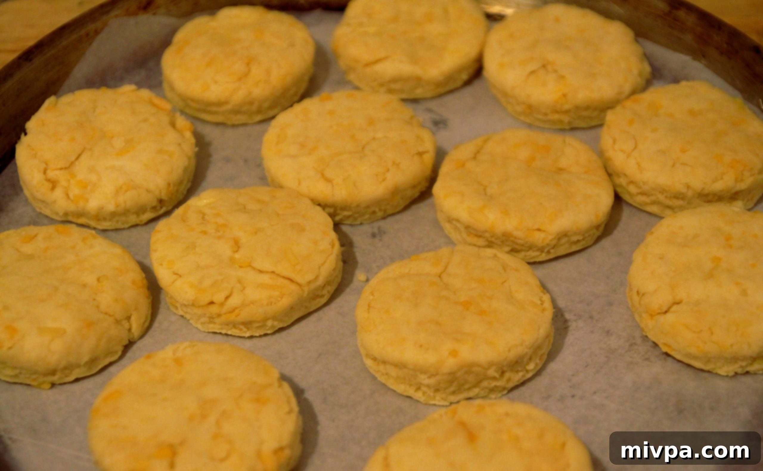 Cutting and placing scone dough circles on baking sheet