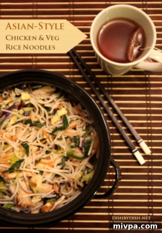 Delicious Asian-Style Chicken & Vegetable Rice Noodles served in a bowl