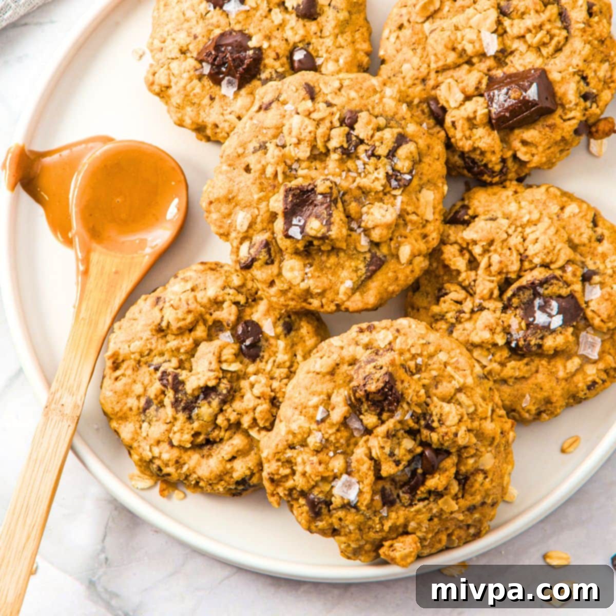 Chewy Gluten-Free Dairy-Free Peanut Butter Oatmeal Cookies 10 featured 53862