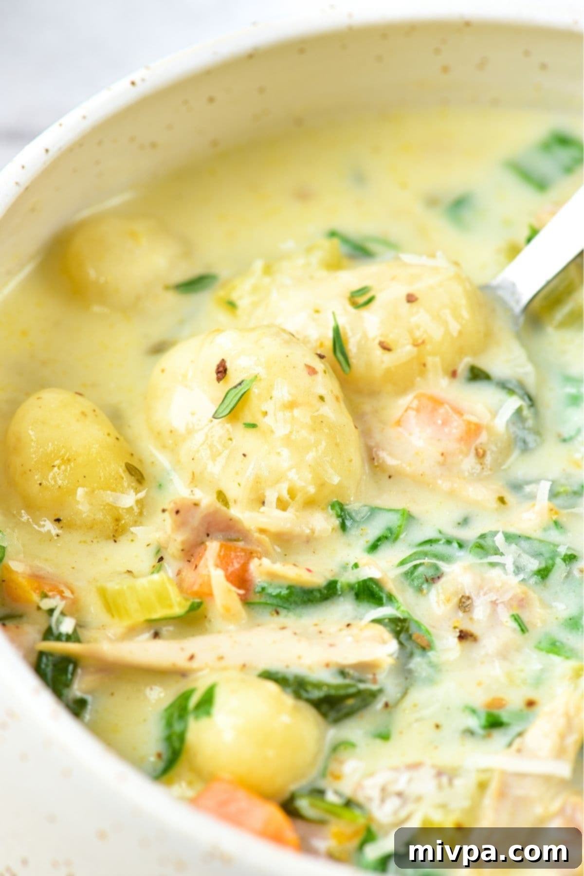 Gluten-Free Chicken Gnocchi Soup with Vegetables Close-up of a spoon scooping up fluffy gnocchi and tender chicken from a rich, creamy bowl of soup.
