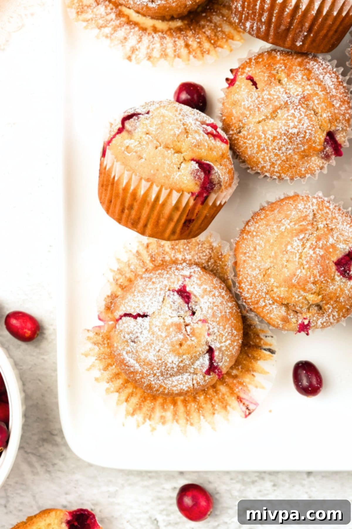 Gluten-Free Cranberry Muffins Top-down view of a plate of gluten-free cranberry muffins, elegantly dusted with icing sugar.