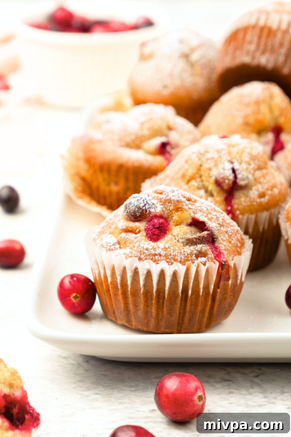 Gluten-Free Orange Cranberry Muffins (Dairy-Free) A beautifully arranged plate of gluten-free orange cranberry muffins, dusted with powdered sugar.