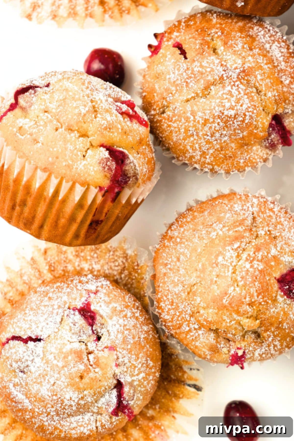 Cranberry Orange Gluten-Free Muffins Top-down view of freshly baked cranberry orange gluten-free muffins in a muffin tin.
