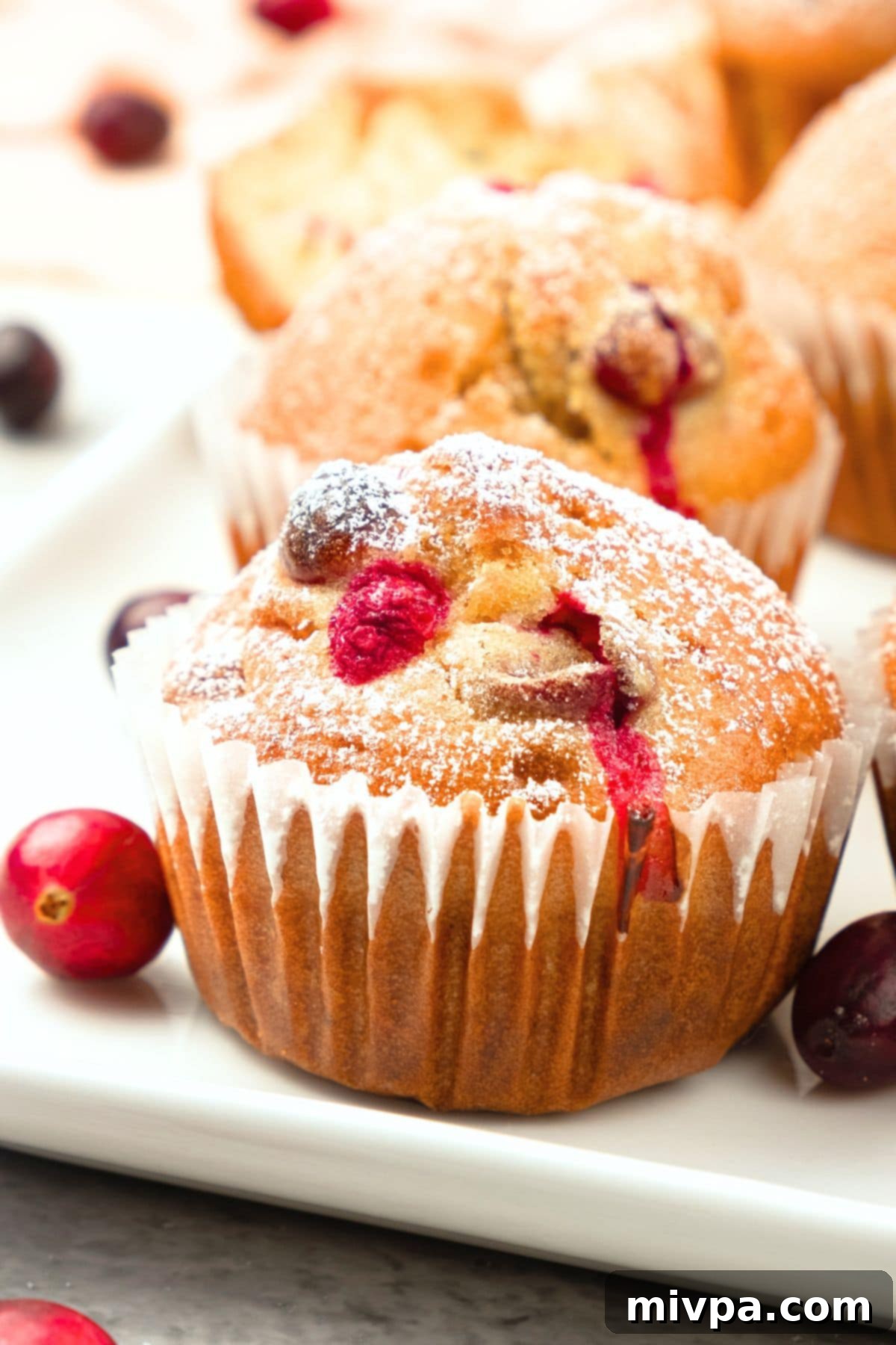 Cranberry and Orange Muffins (Gluten-Free, Dairy-Free) Up close view of a single cranberry and orange muffin on a plate, showing the fluffy interior and visible cranberries.